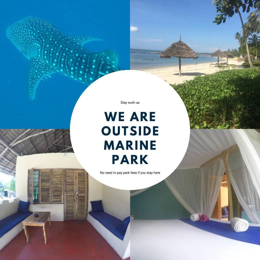 مبيت وإفطار Kilindoni Afro Whale Shark Safari المظهر الخارجي الصورة